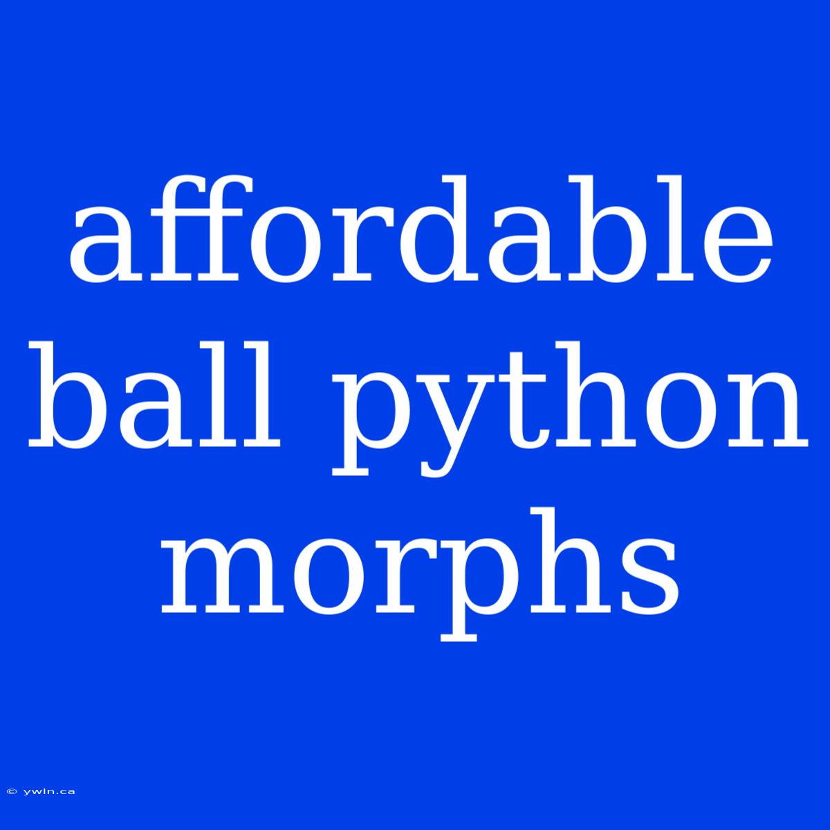 Affordable Ball Python Morphs