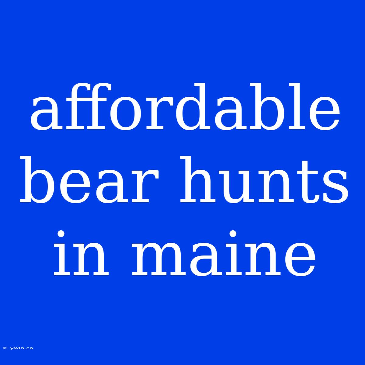 Affordable Bear Hunts In Maine