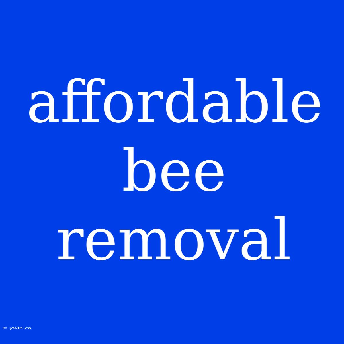 Affordable Bee Removal