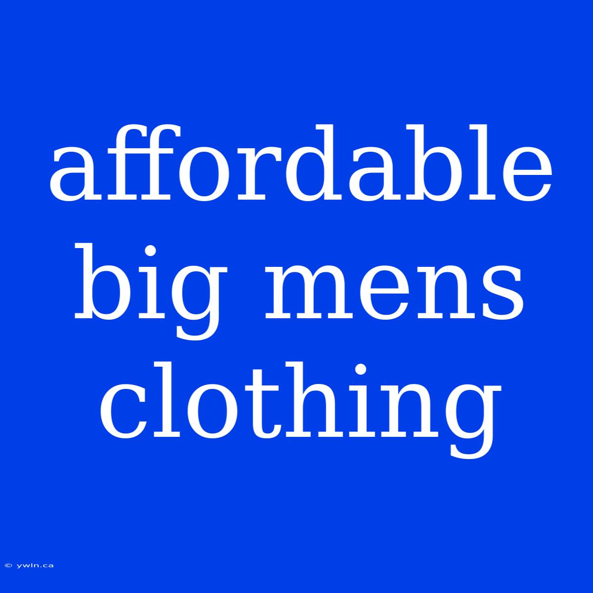 Affordable Big Mens Clothing