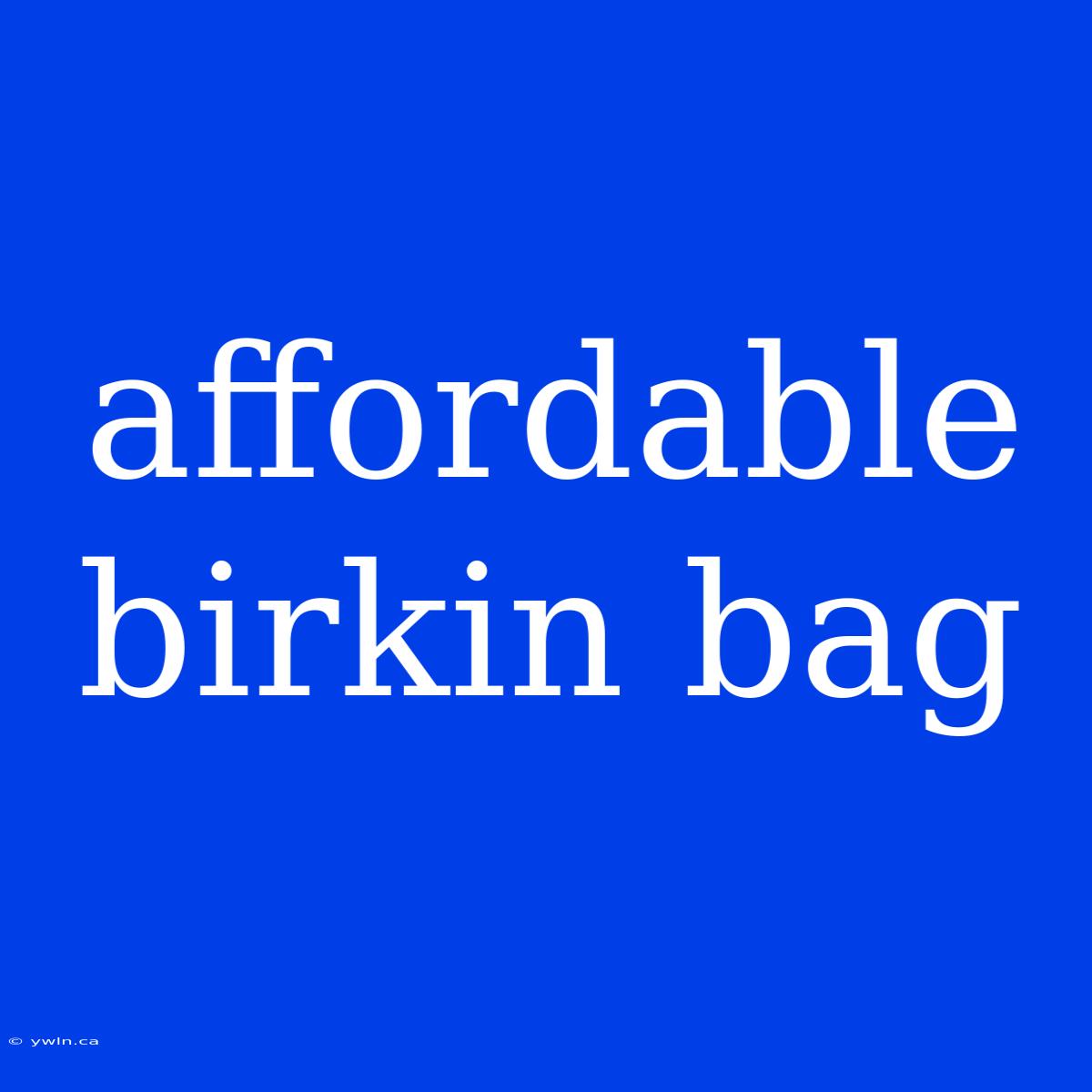 Affordable Birkin Bag