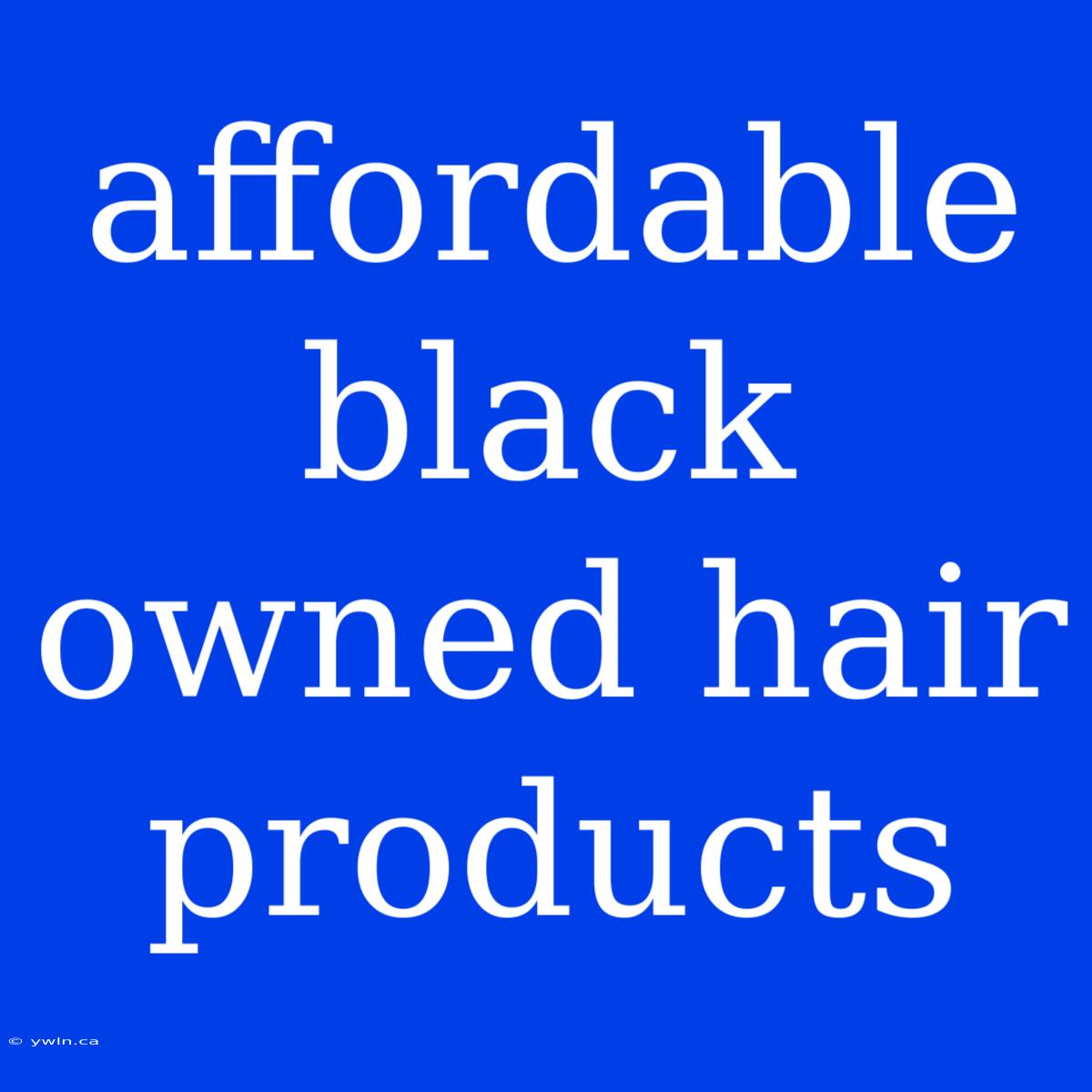 Affordable Black Owned Hair Products