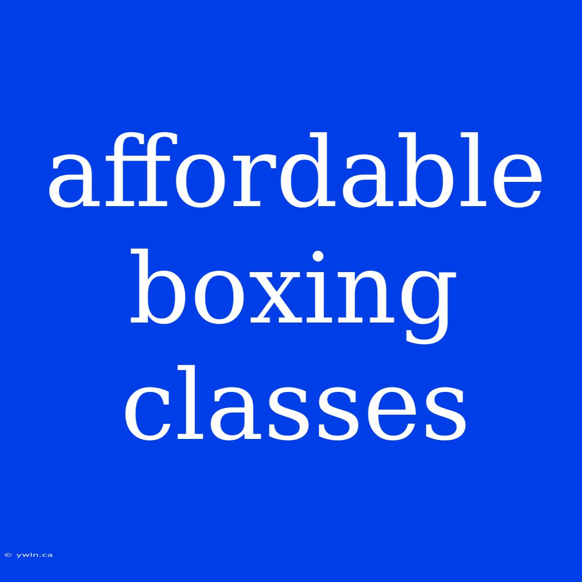 Affordable Boxing Classes