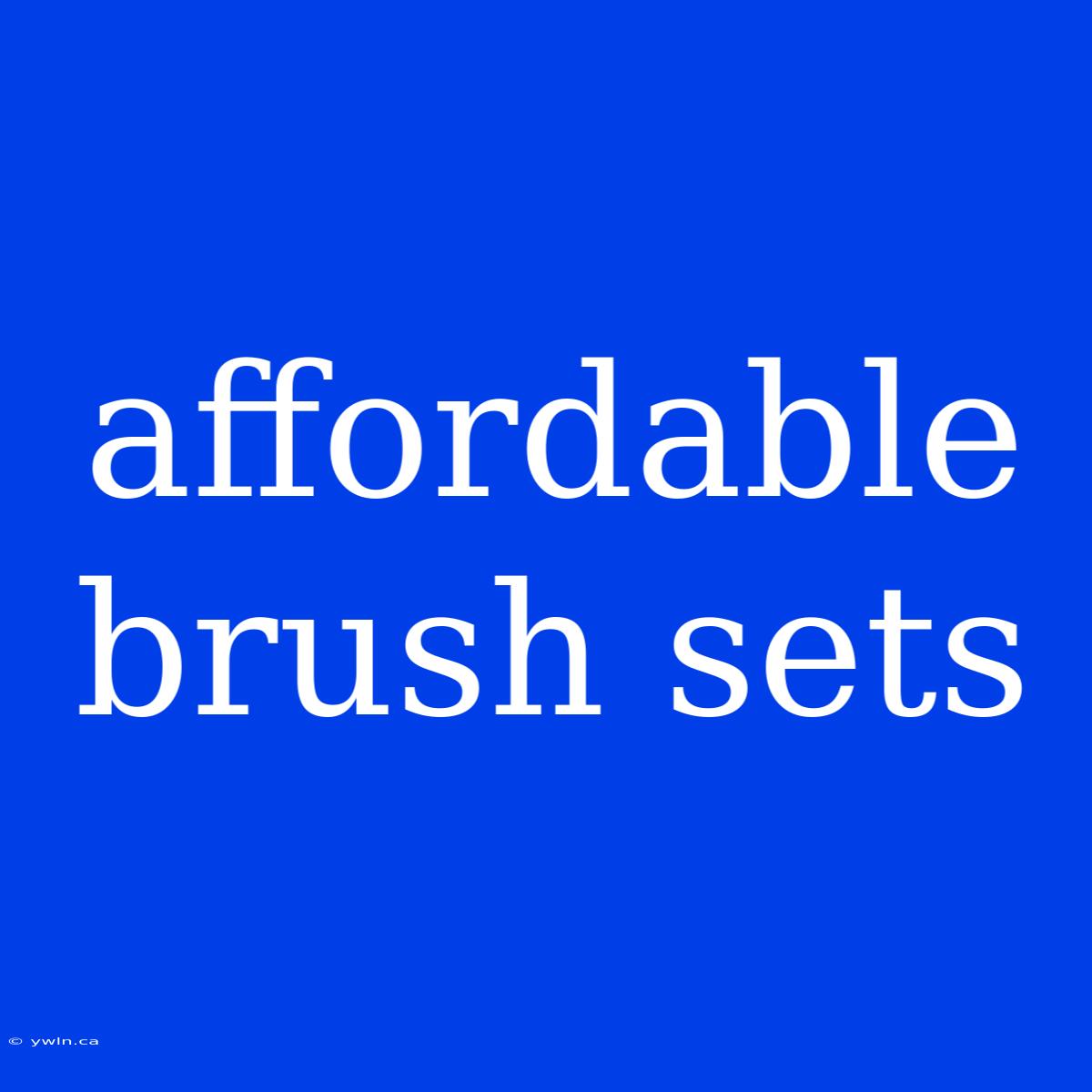 Affordable Brush Sets