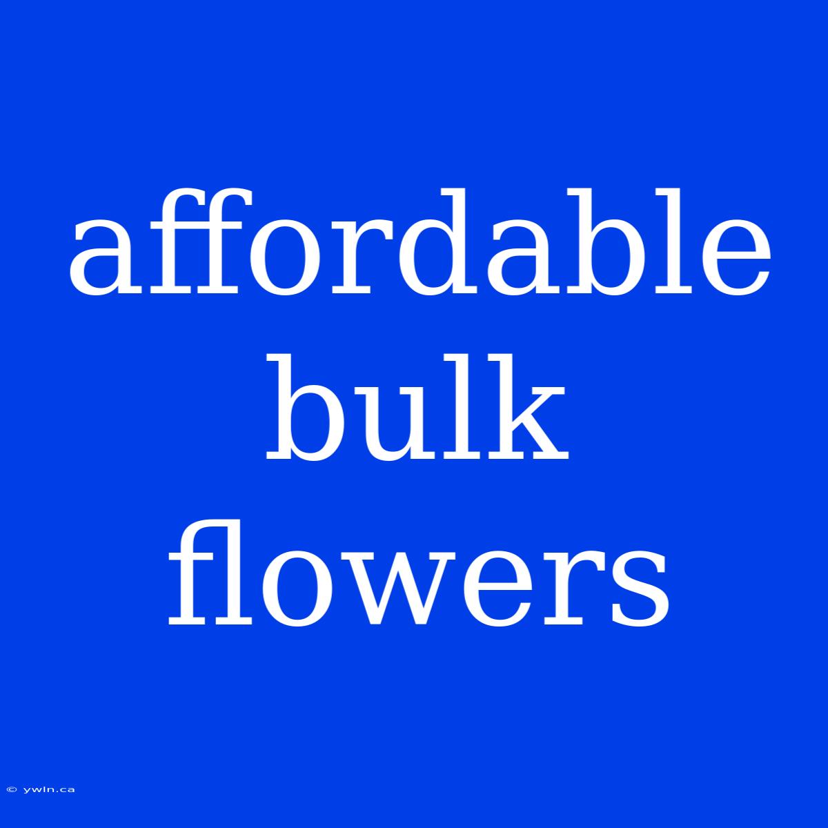 Affordable Bulk Flowers