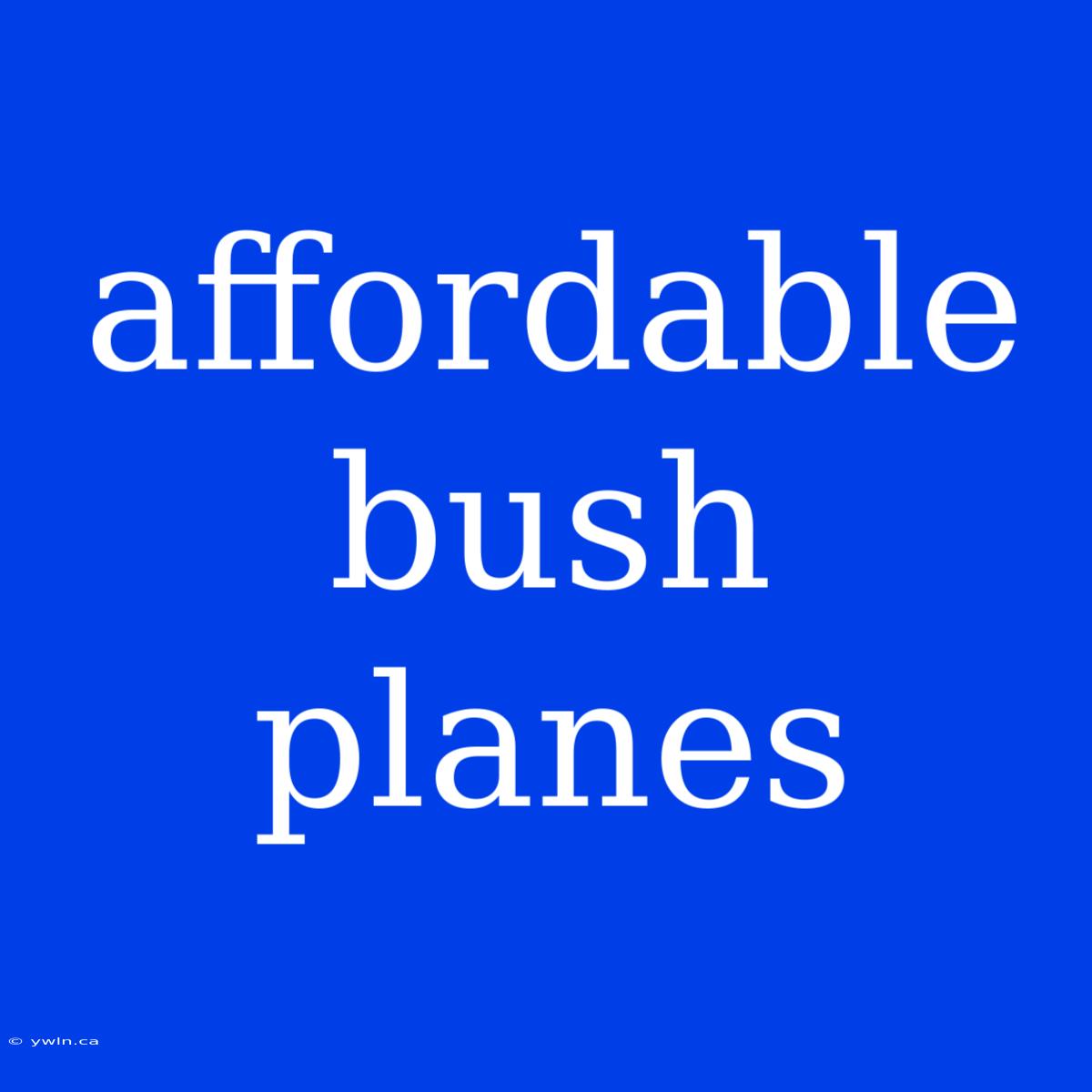 Affordable Bush Planes