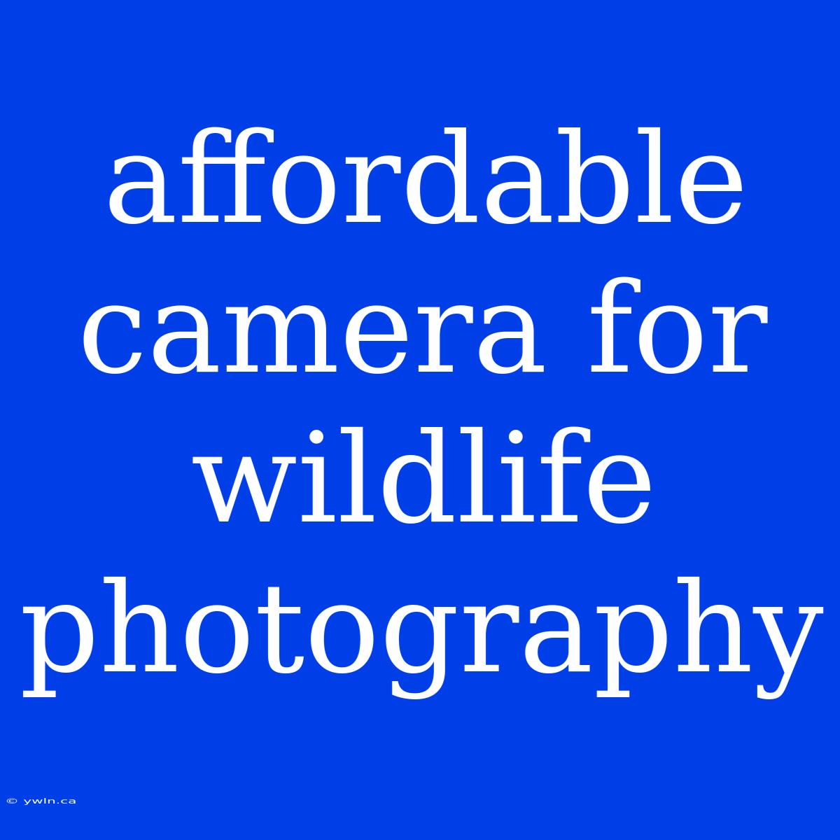 Affordable Camera For Wildlife Photography