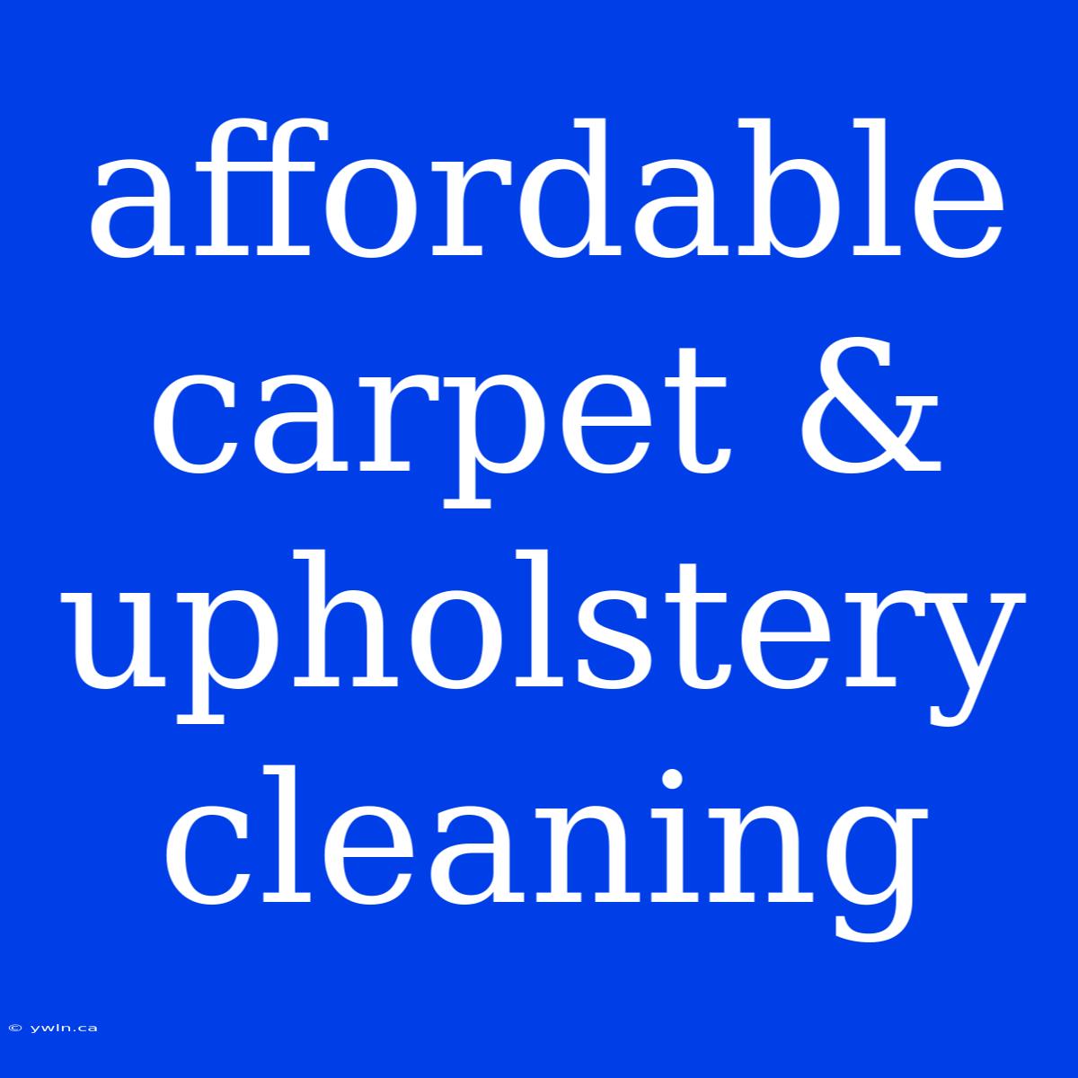 Affordable Carpet & Upholstery Cleaning