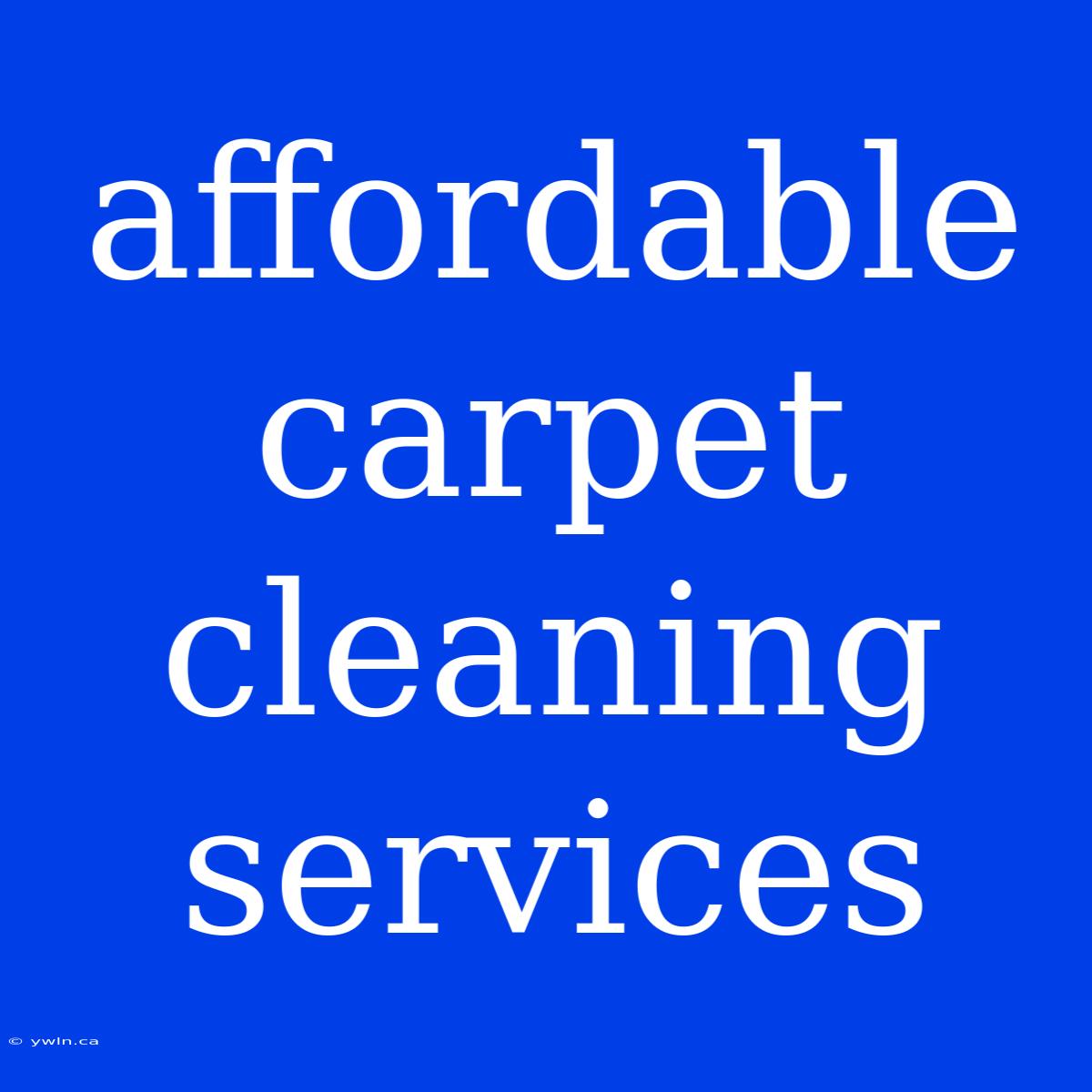 Affordable Carpet Cleaning Services