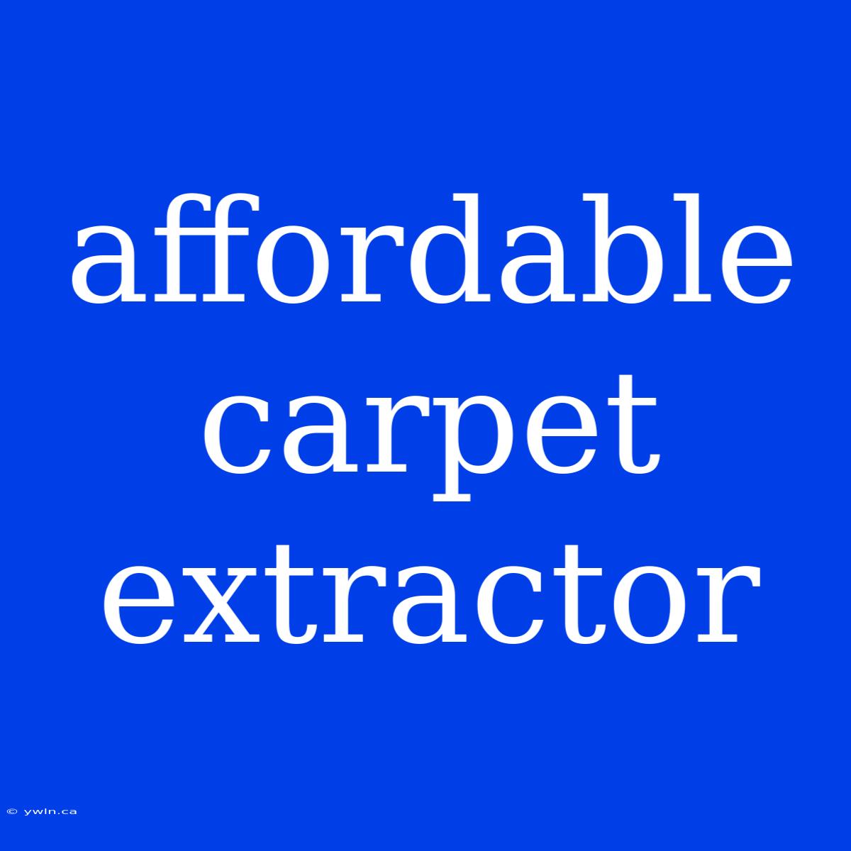 Affordable Carpet Extractor