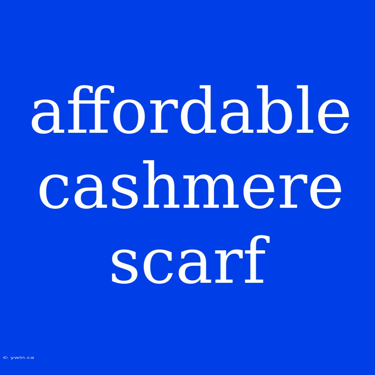 Affordable Cashmere Scarf