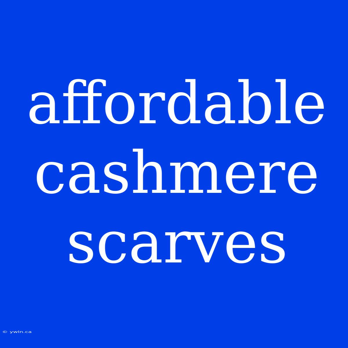 Affordable Cashmere Scarves