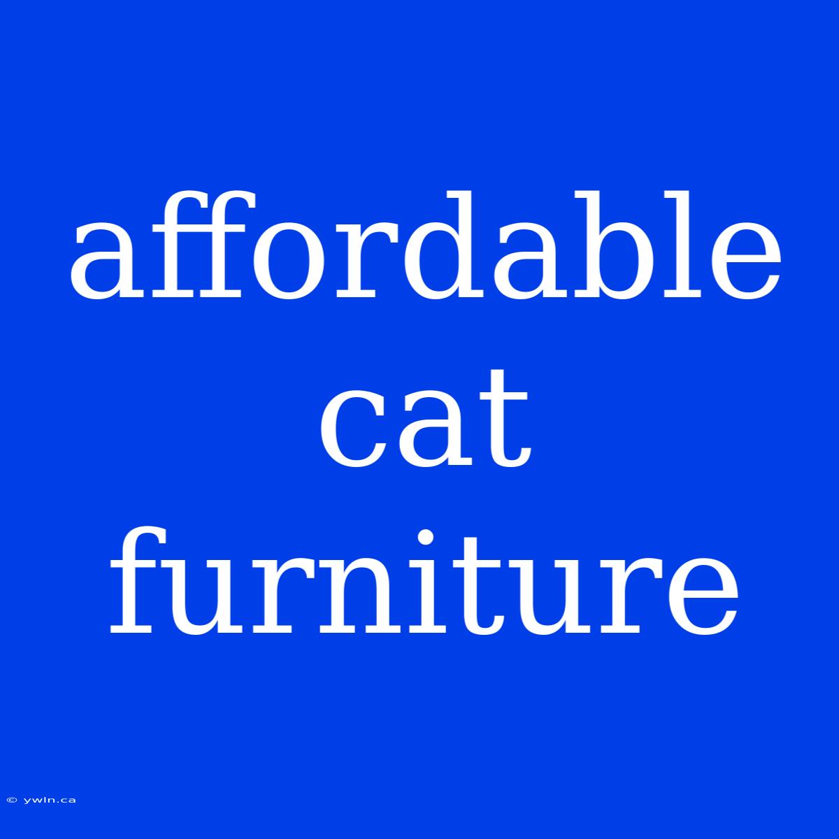 Affordable Cat Furniture