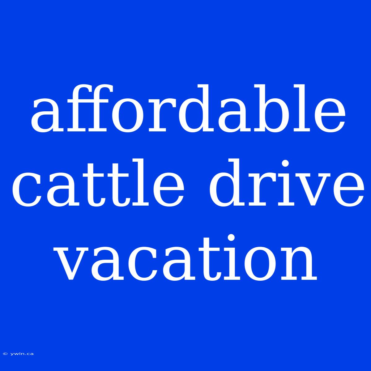 Affordable Cattle Drive Vacation