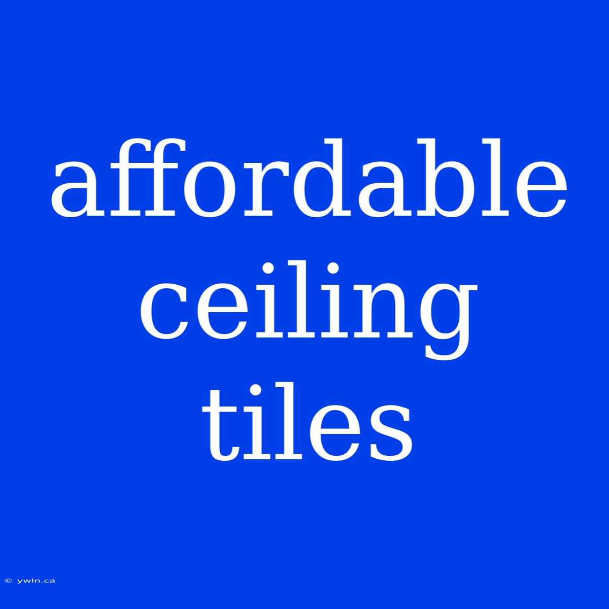 Affordable Ceiling Tiles