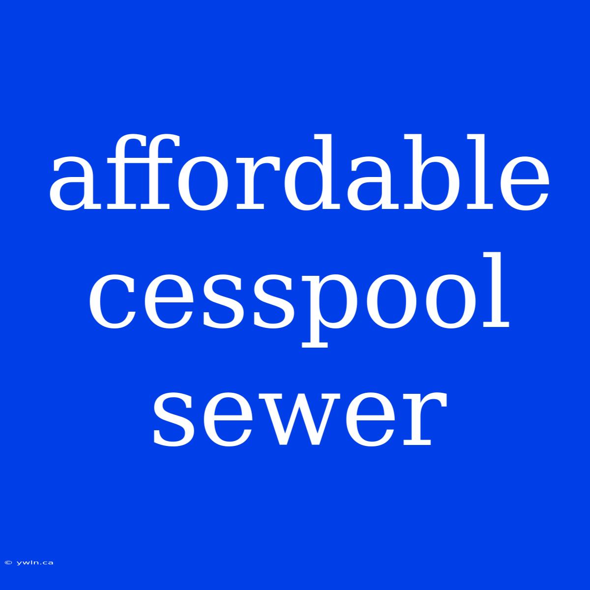 Affordable Cesspool Sewer