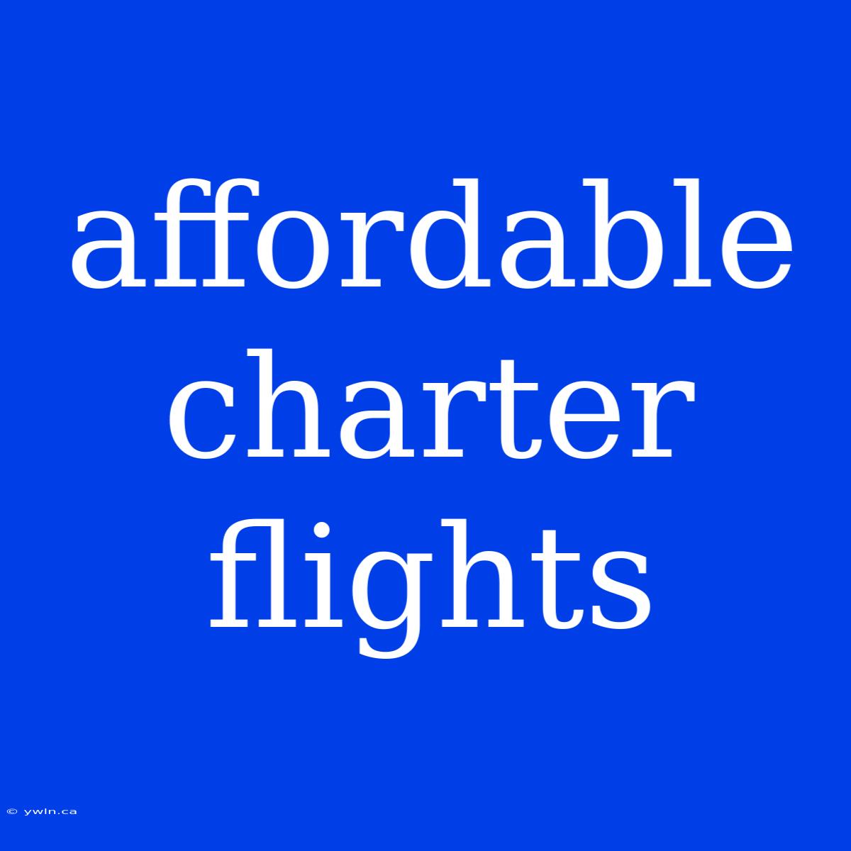 Affordable Charter Flights