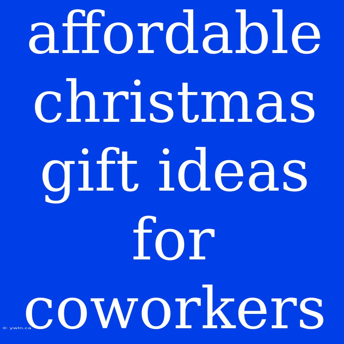 Affordable Christmas Gift Ideas For Coworkers