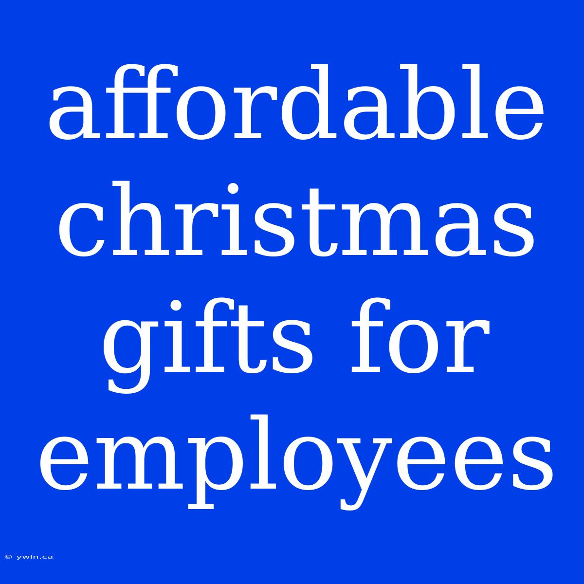 Affordable Christmas Gifts For Employees