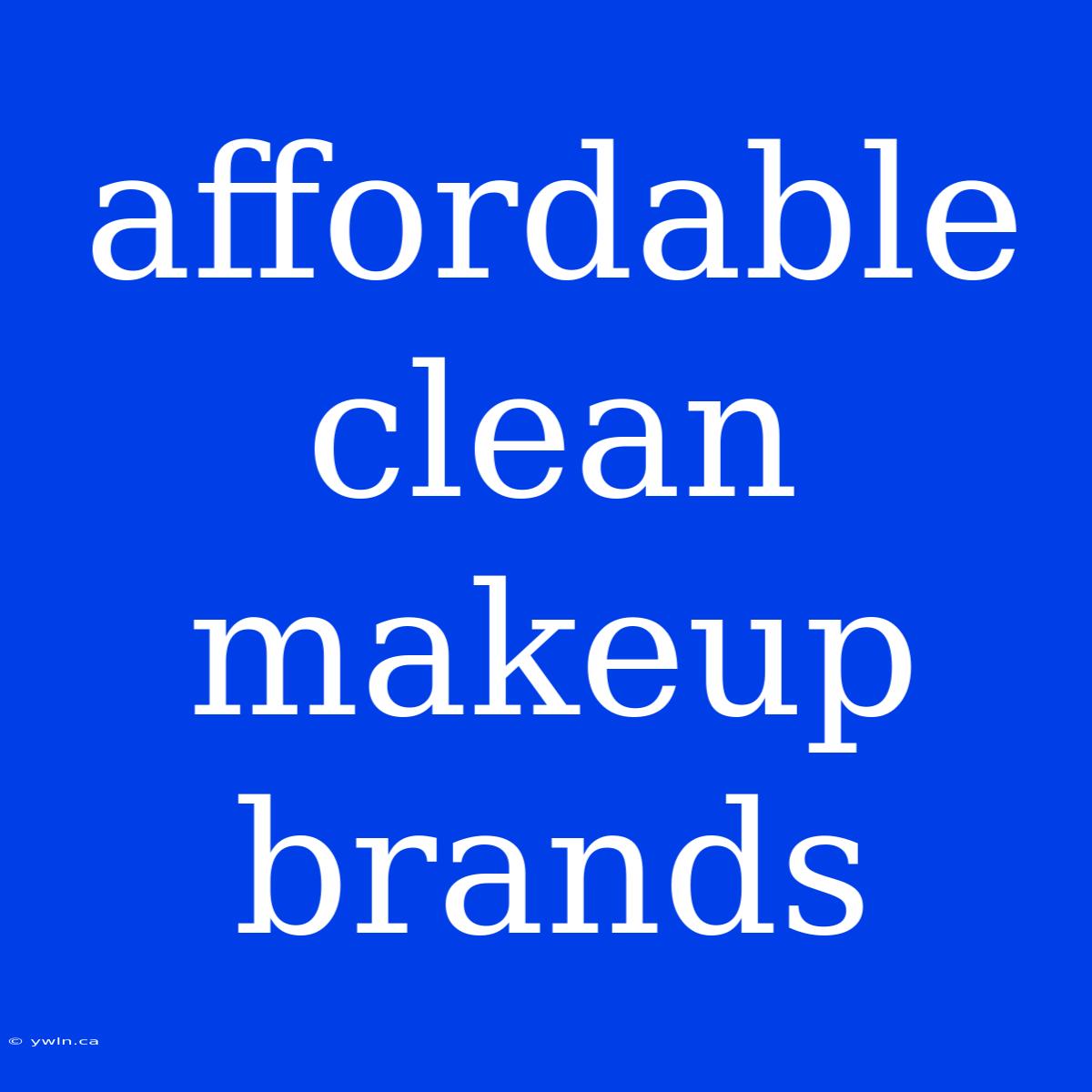 Affordable Clean Makeup Brands