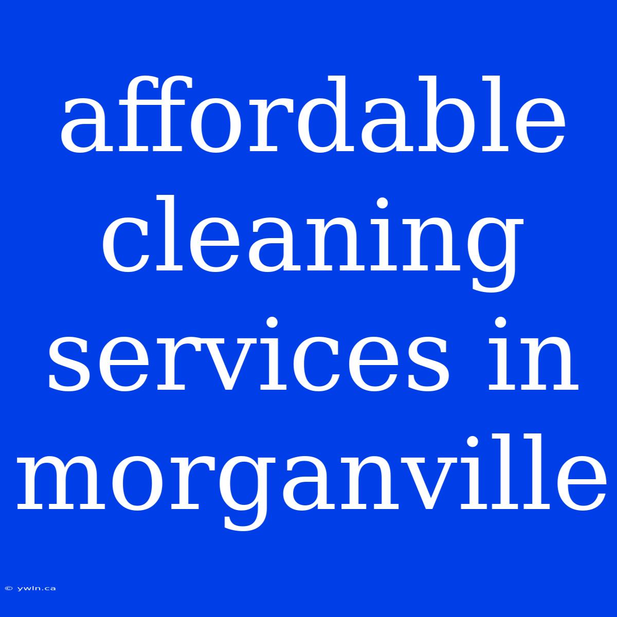 Affordable Cleaning Services In Morganville