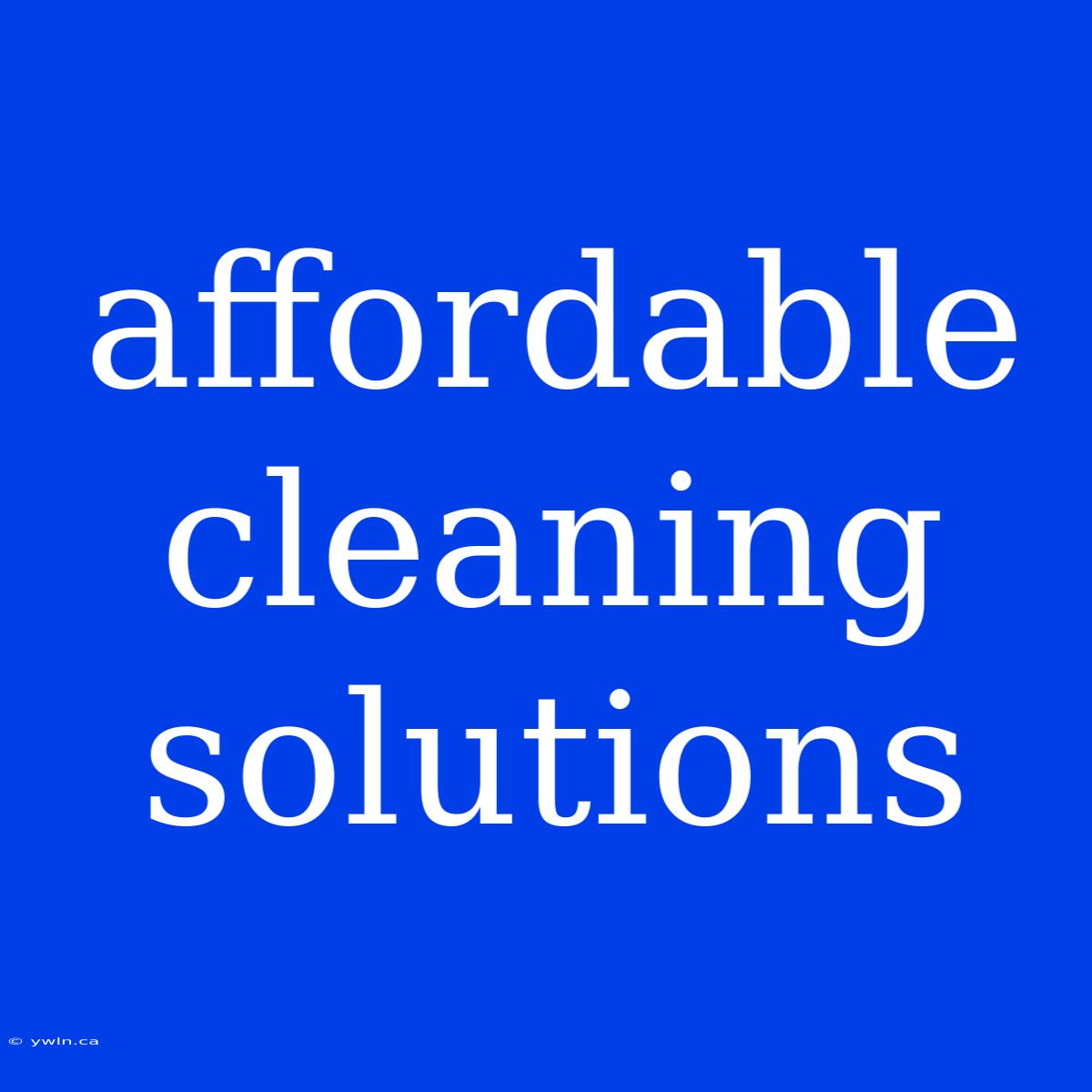 Affordable Cleaning Solutions