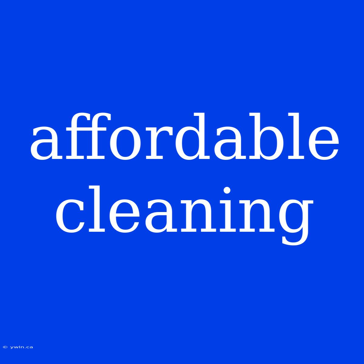 Affordable Cleaning