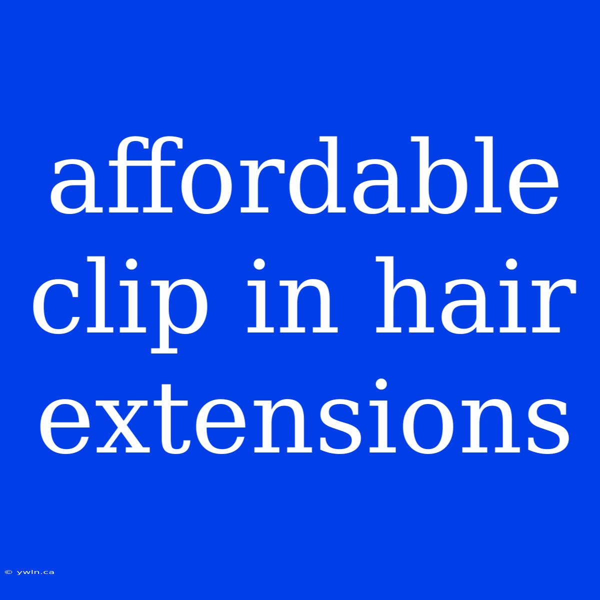 Affordable Clip In Hair Extensions