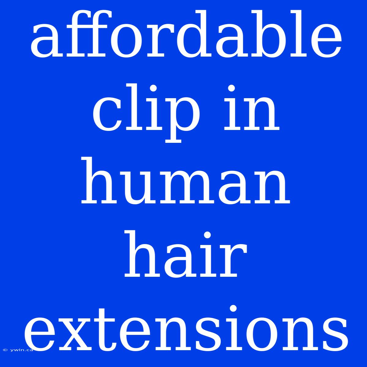 Affordable Clip In Human Hair Extensions