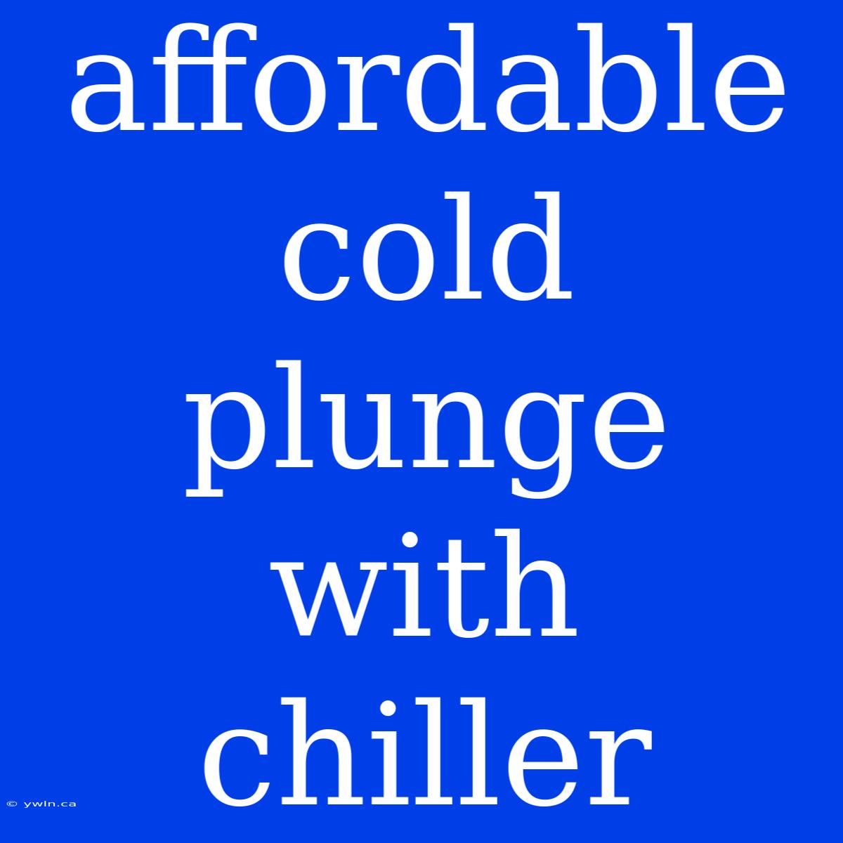 Affordable Cold Plunge With Chiller