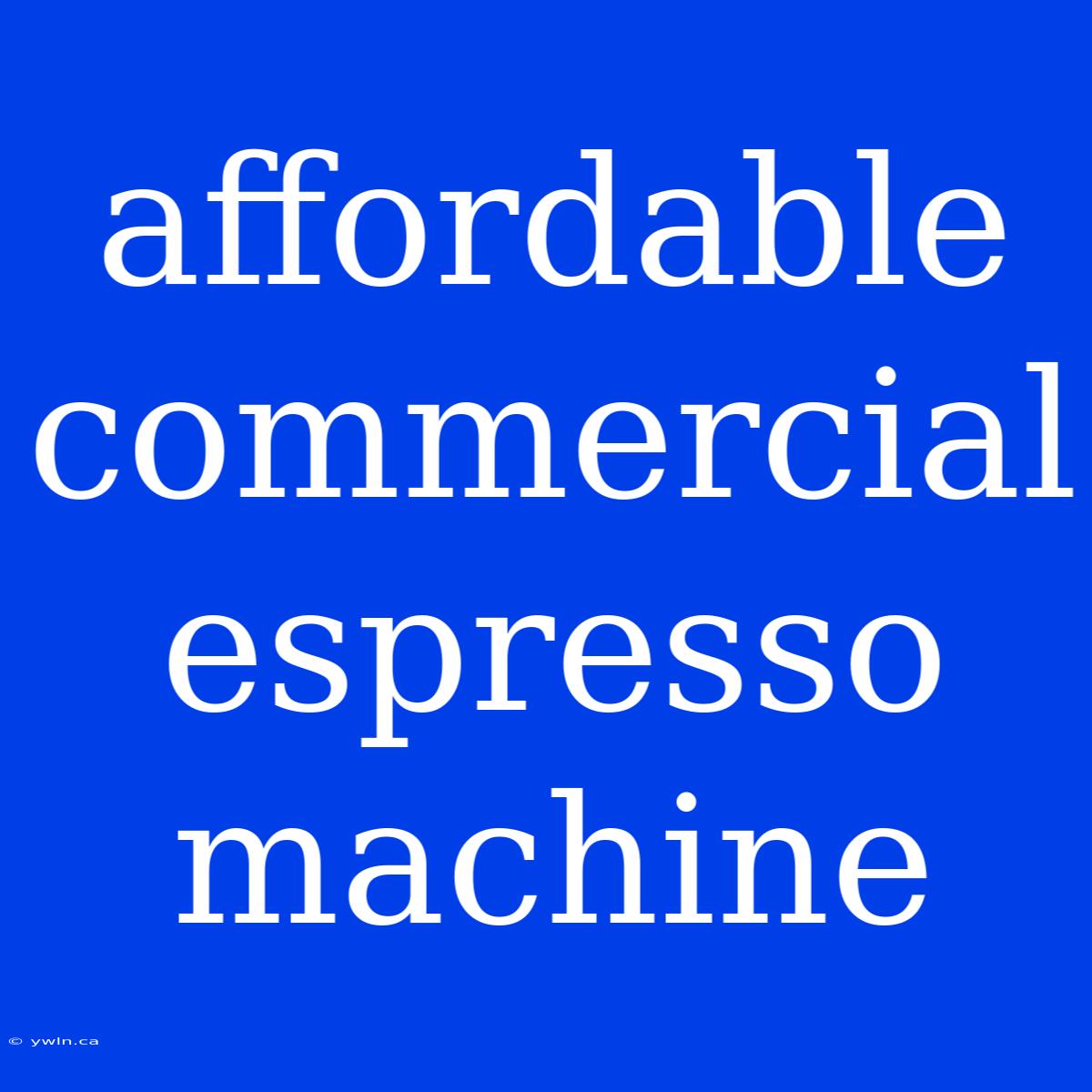 Affordable Commercial Espresso Machine