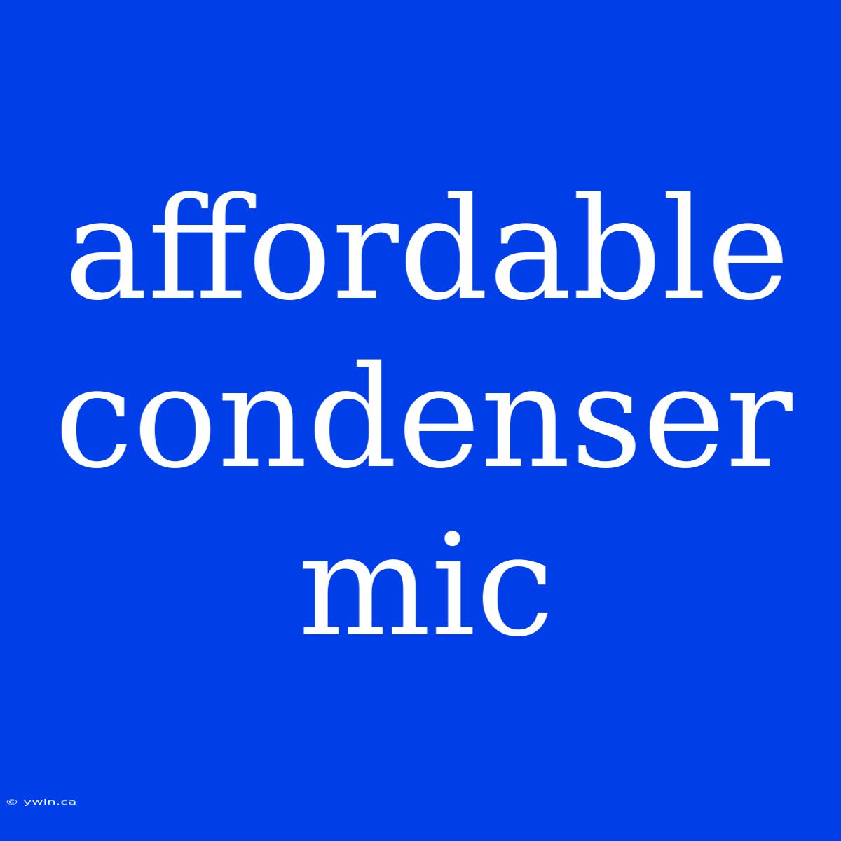 Affordable Condenser Mic