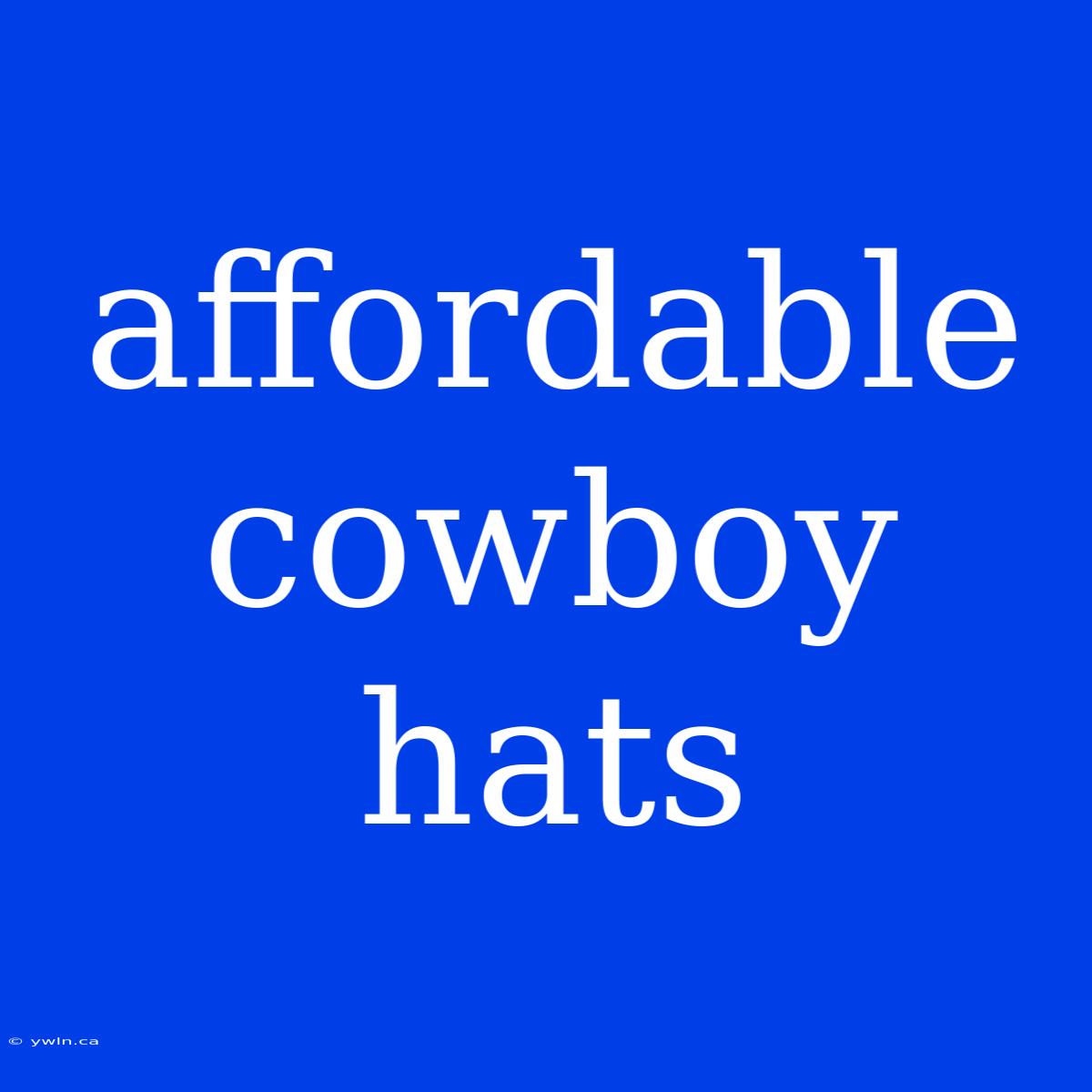 Affordable Cowboy Hats