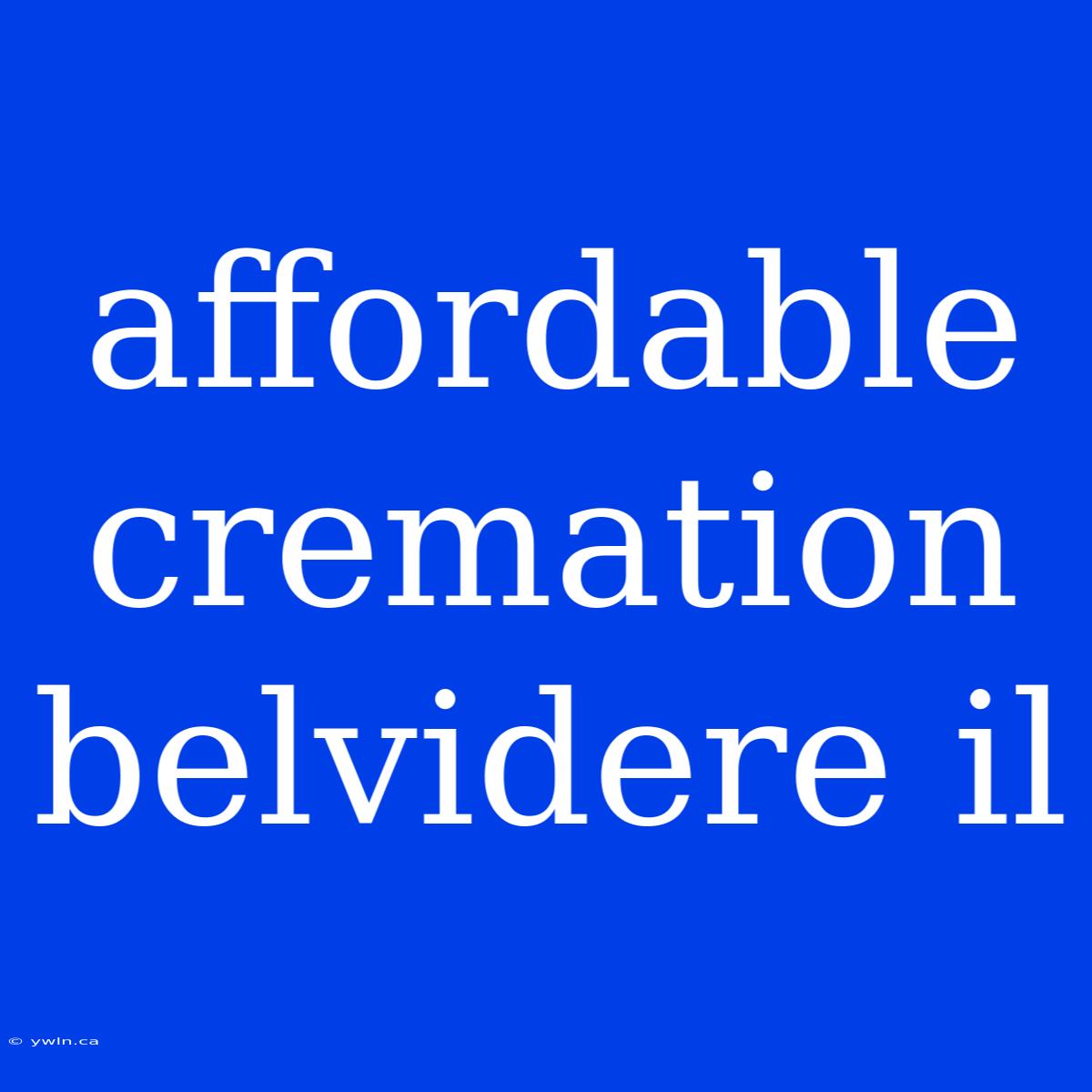 Affordable Cremation Belvidere Il