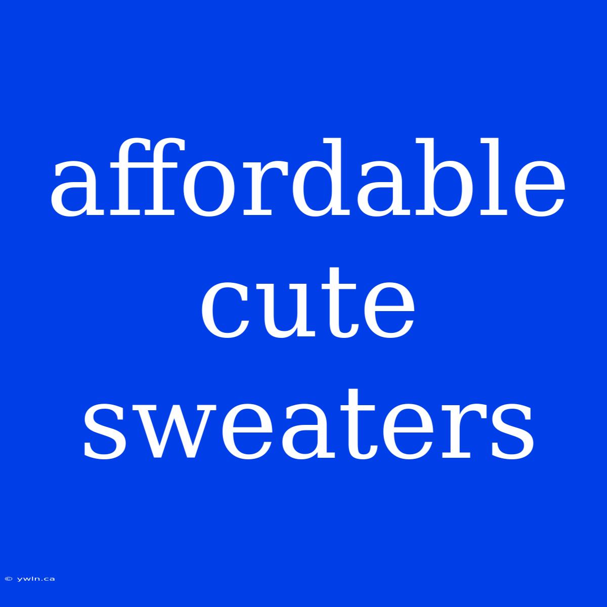 Affordable Cute Sweaters