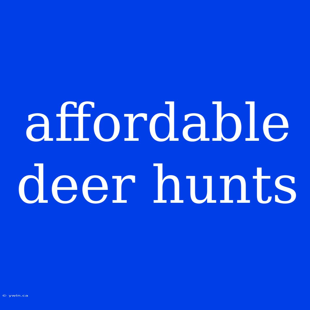 Affordable Deer Hunts