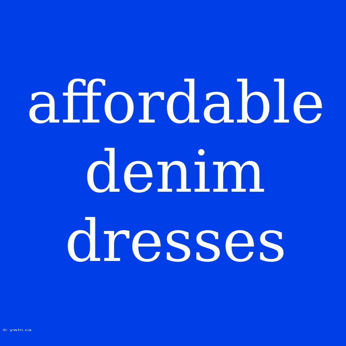 Affordable Denim Dresses