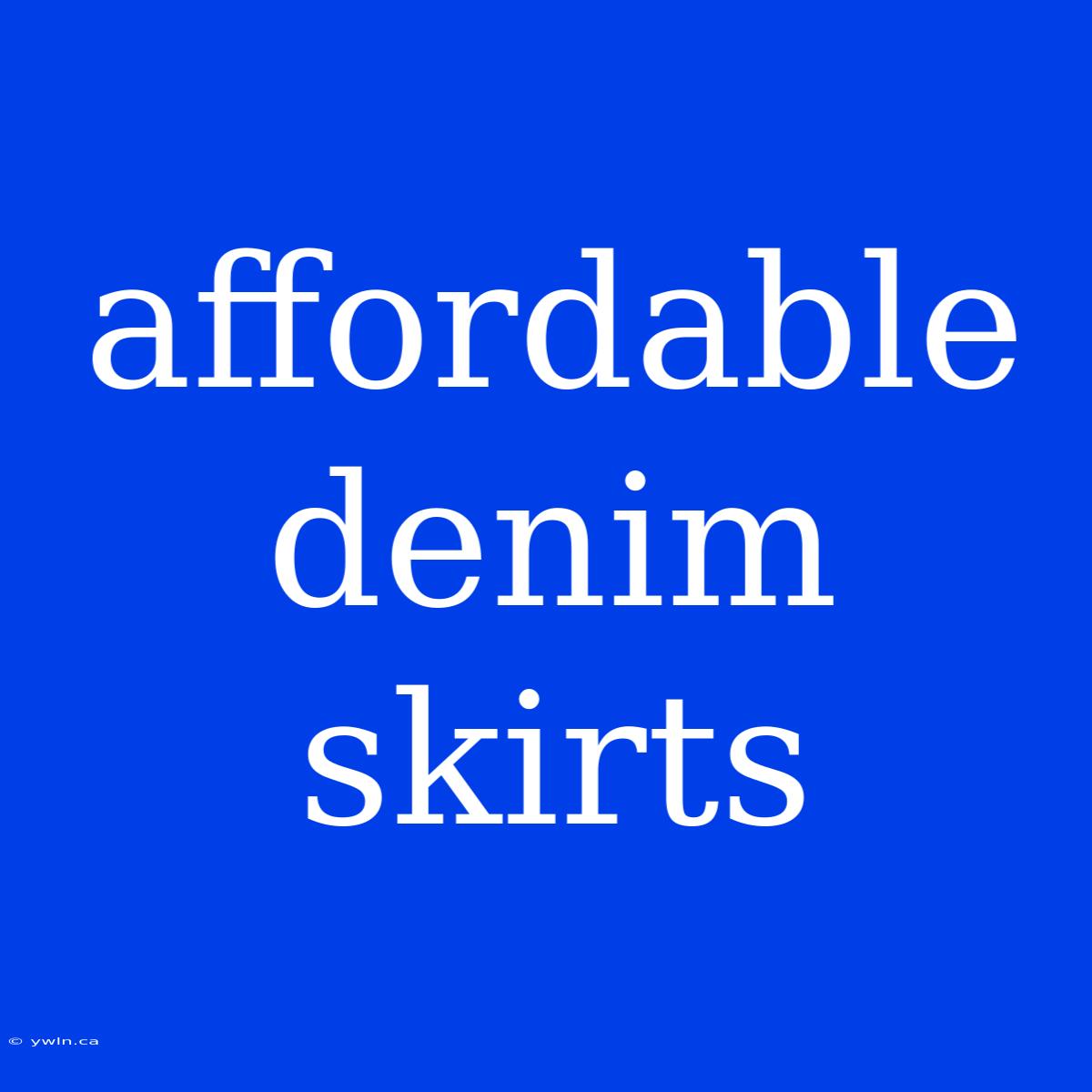 Affordable Denim Skirts