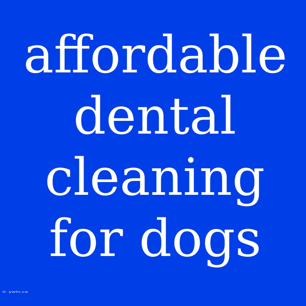 Affordable Dental Cleaning For Dogs