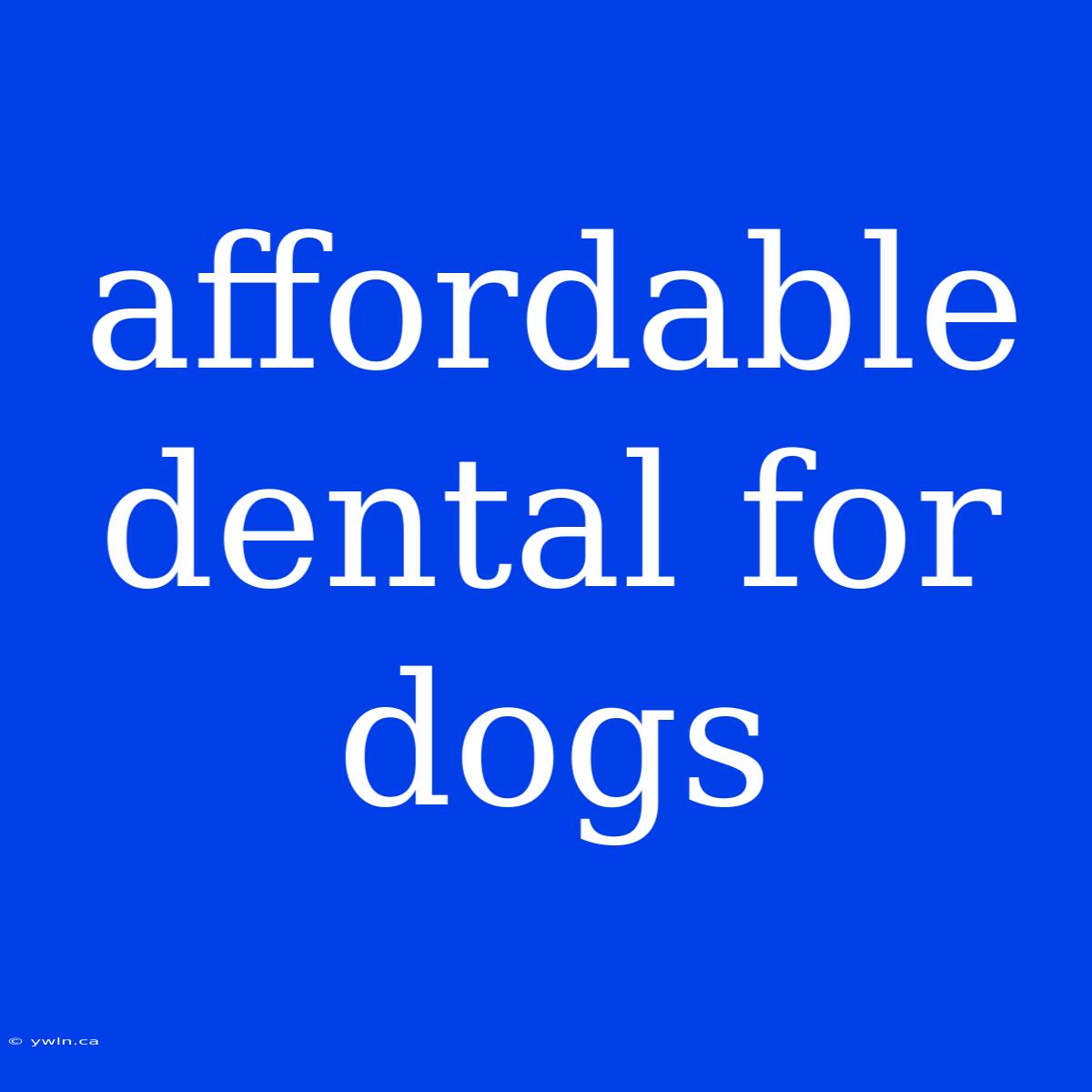 Affordable Dental For Dogs