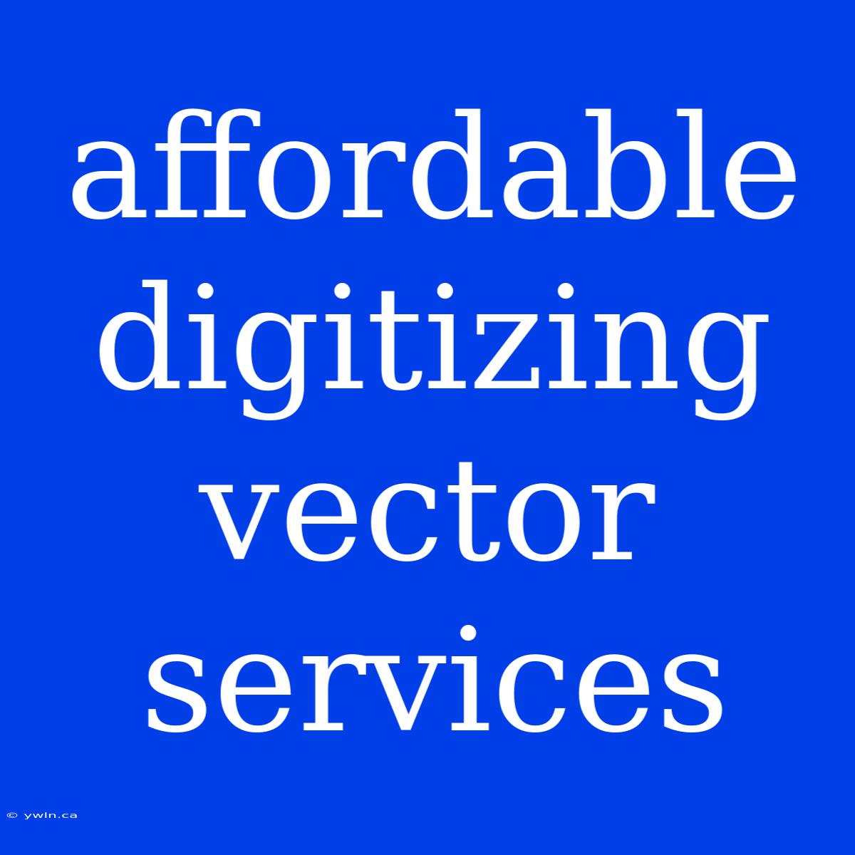 Affordable Digitizing Vector Services