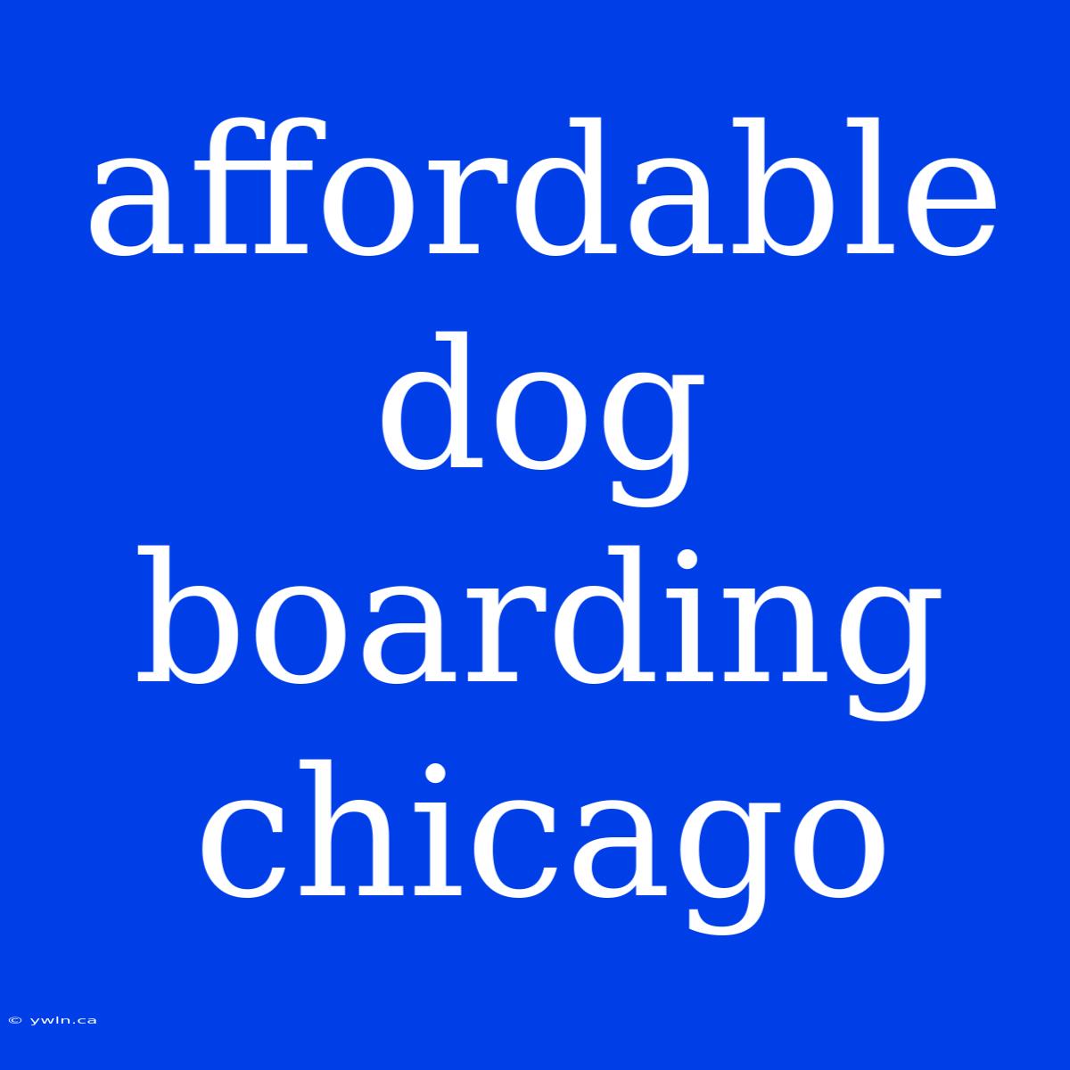 Affordable Dog Boarding Chicago