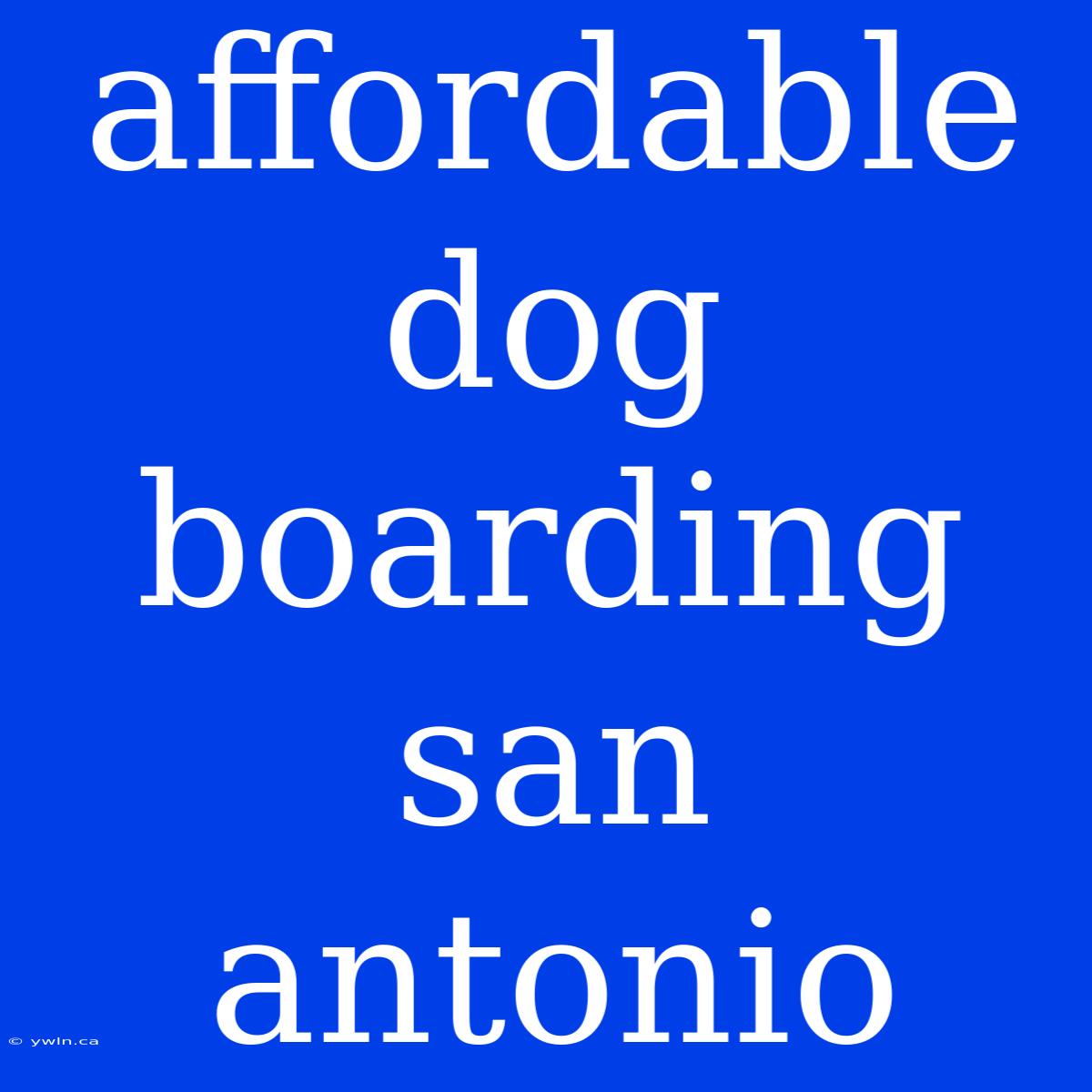 Affordable Dog Boarding San Antonio