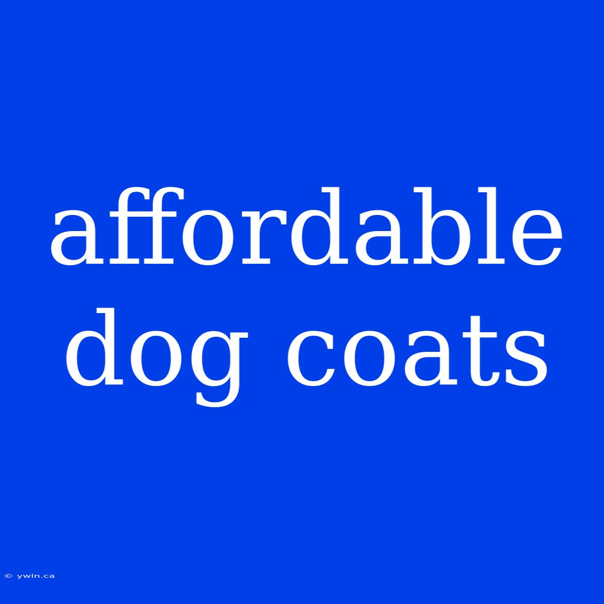 Affordable Dog Coats