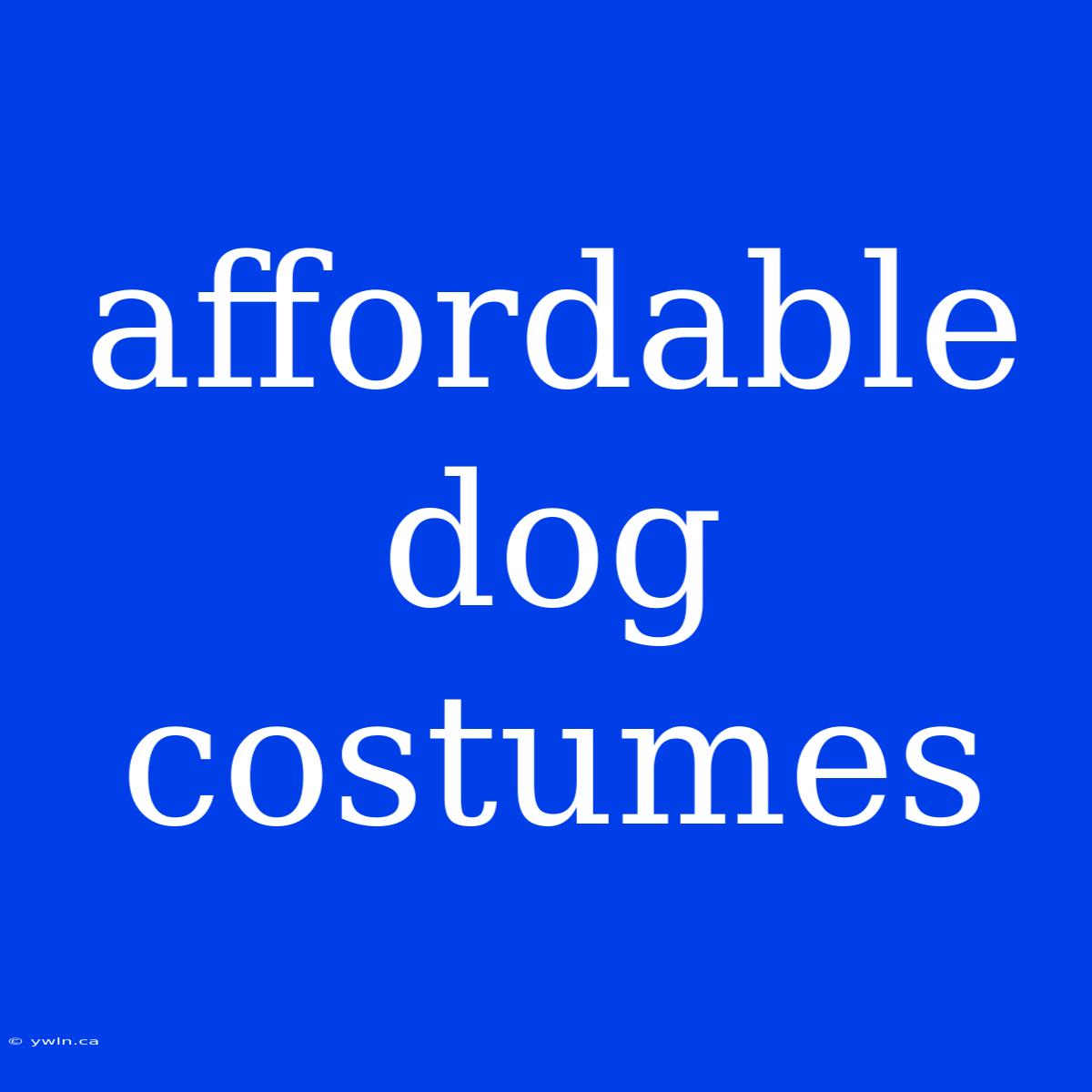 Affordable Dog Costumes