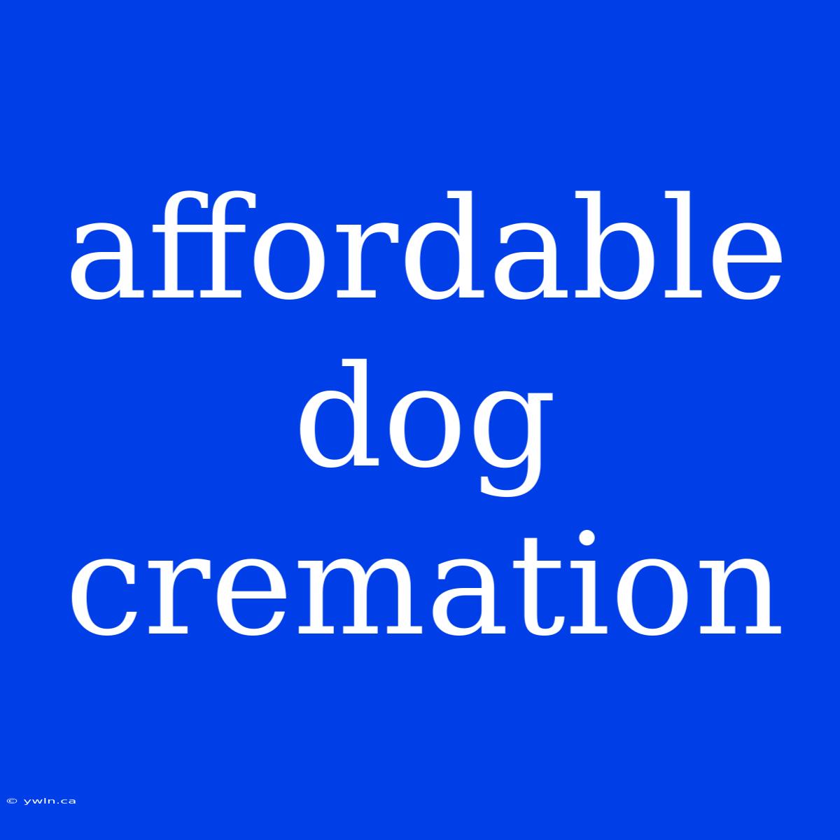 Affordable Dog Cremation