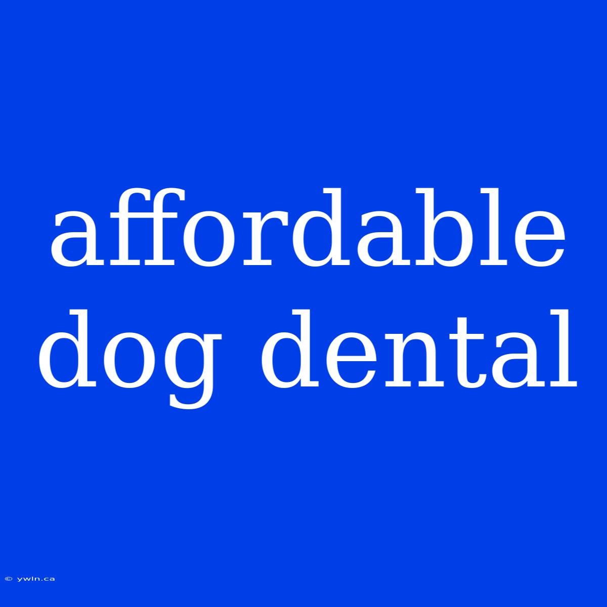 Affordable Dog Dental