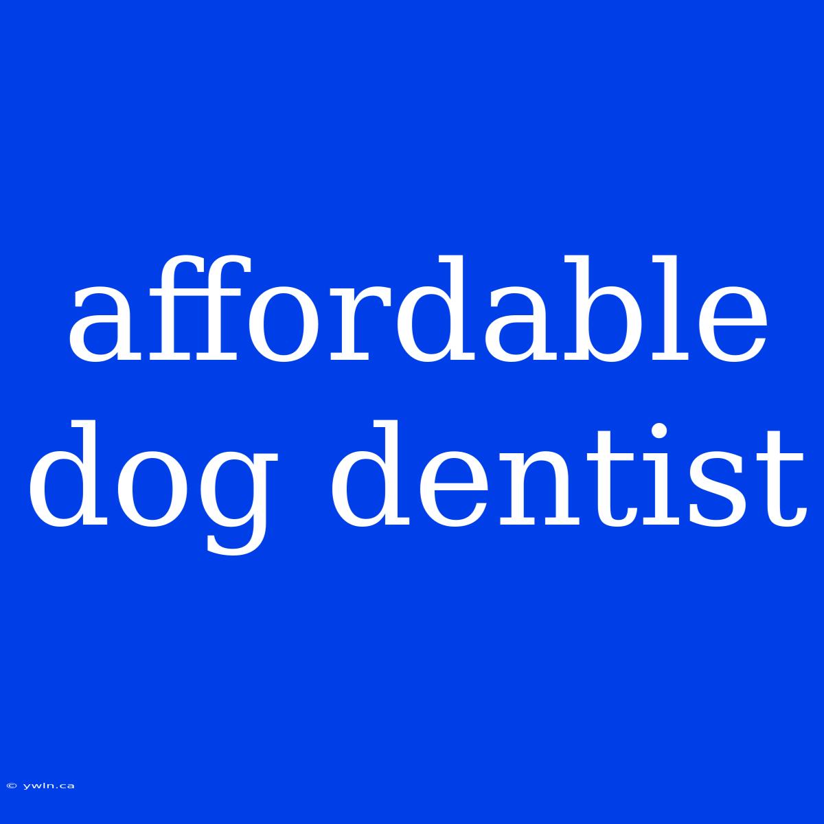 Affordable Dog Dentist