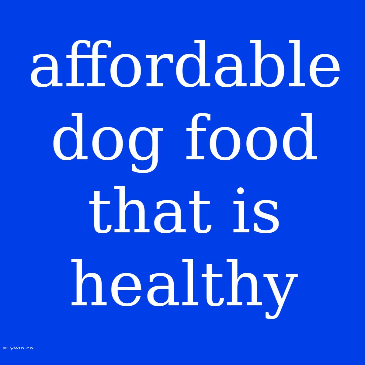 Affordable Dog Food That Is Healthy