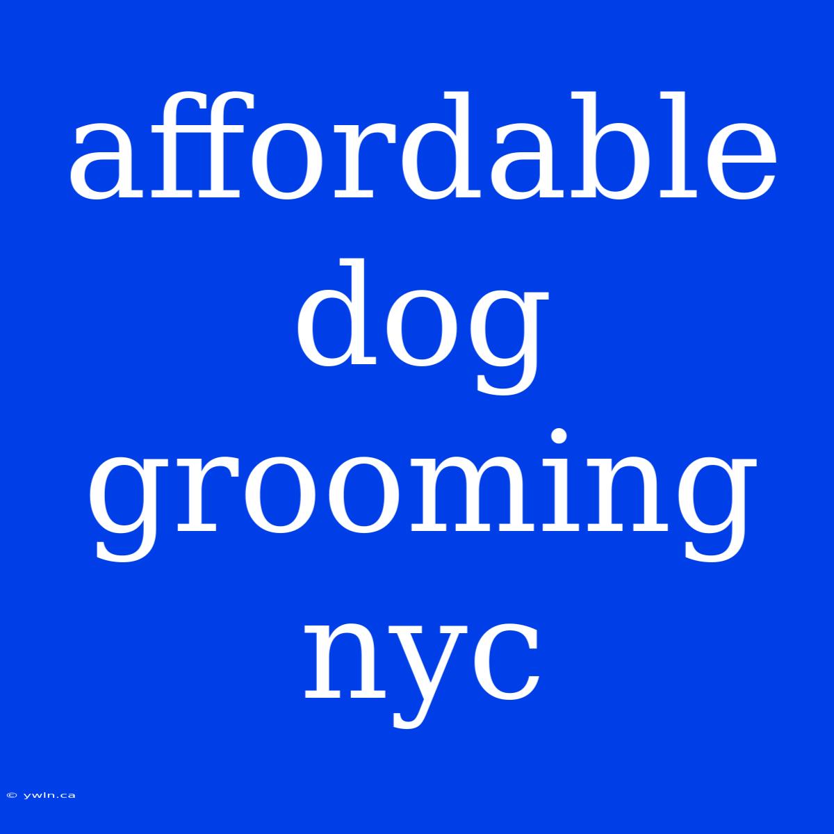 Affordable Dog Grooming Nyc